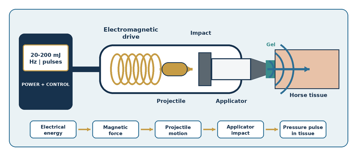 Diagram showing how the VanHorn electromagnetic radial shockwave handpiece converts electrical energy into a mechanical pressure pulse in horse tissue.