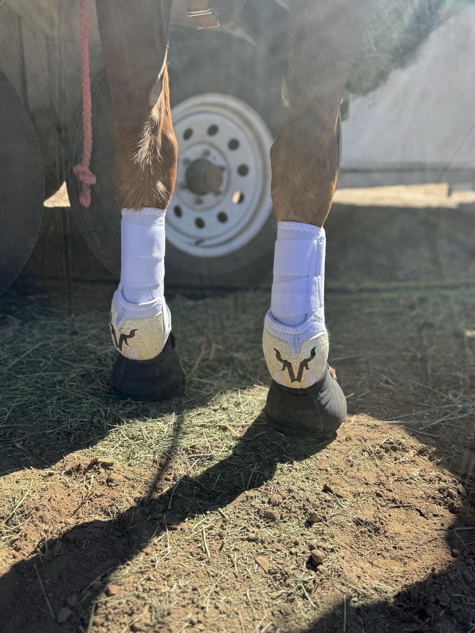 White splint boots