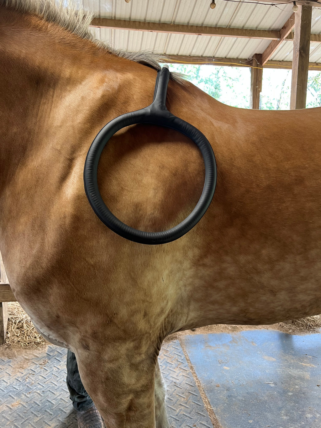 Large Loop