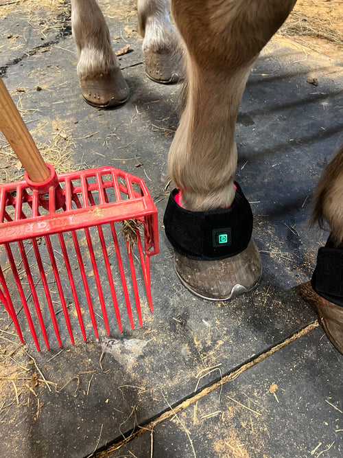 940nm Redlight Bell Boot - single