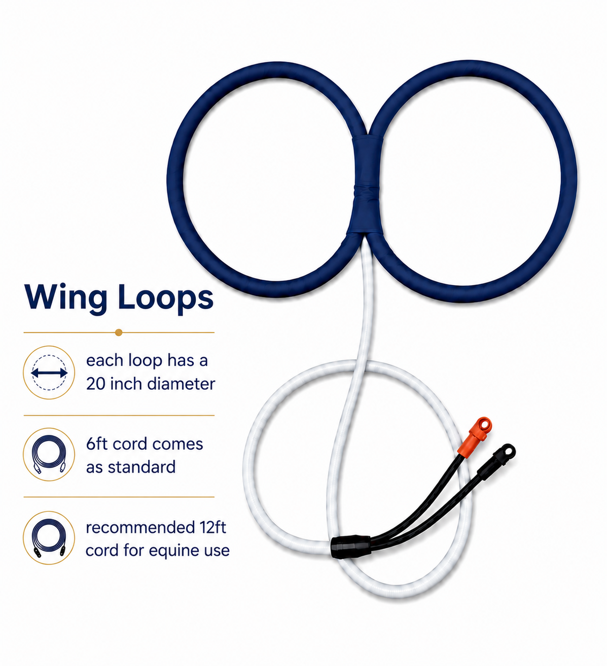 Wing Loops