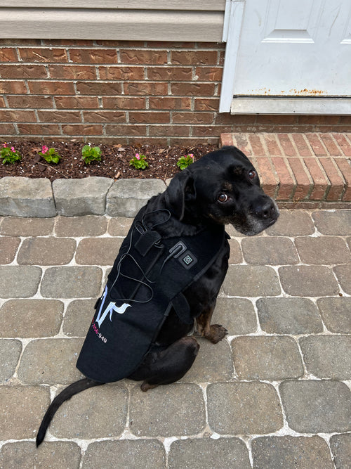 940nm Redlight Dog Blanket