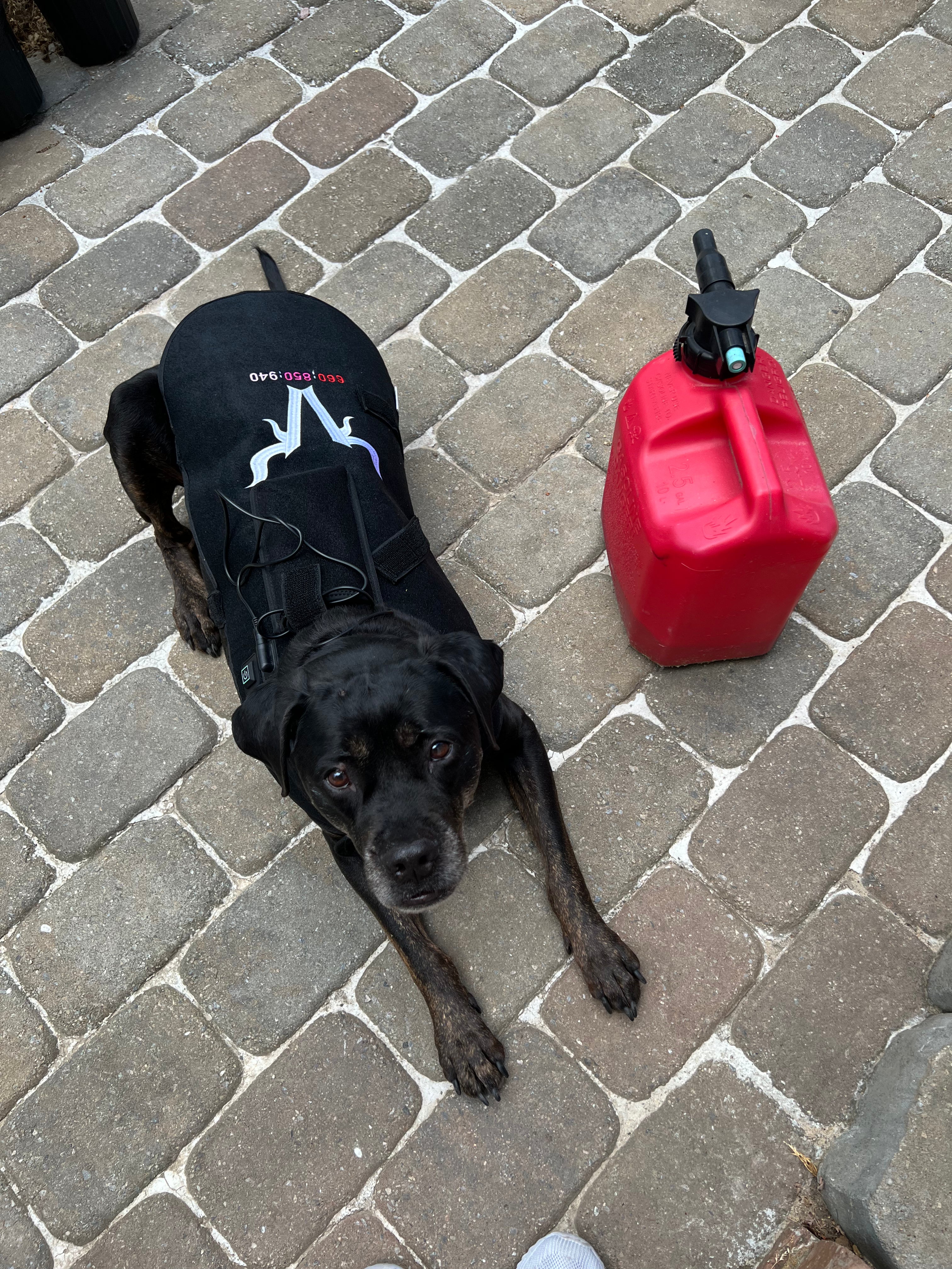 940nm Redlight Dog Blanket