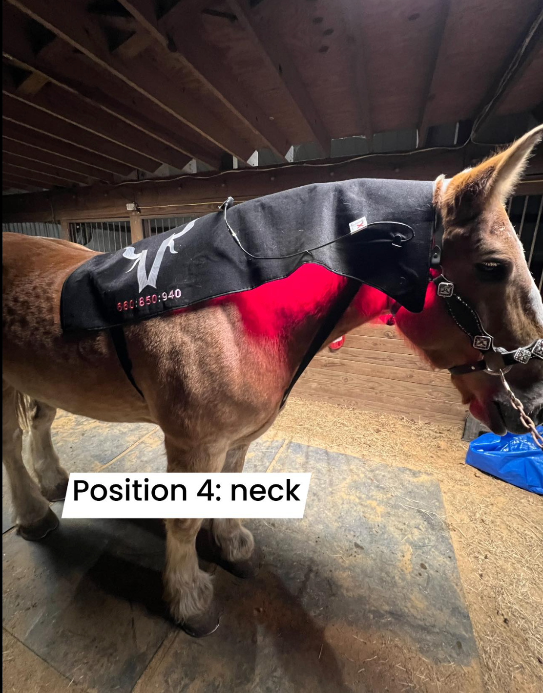 940nm redlight therapy blanket