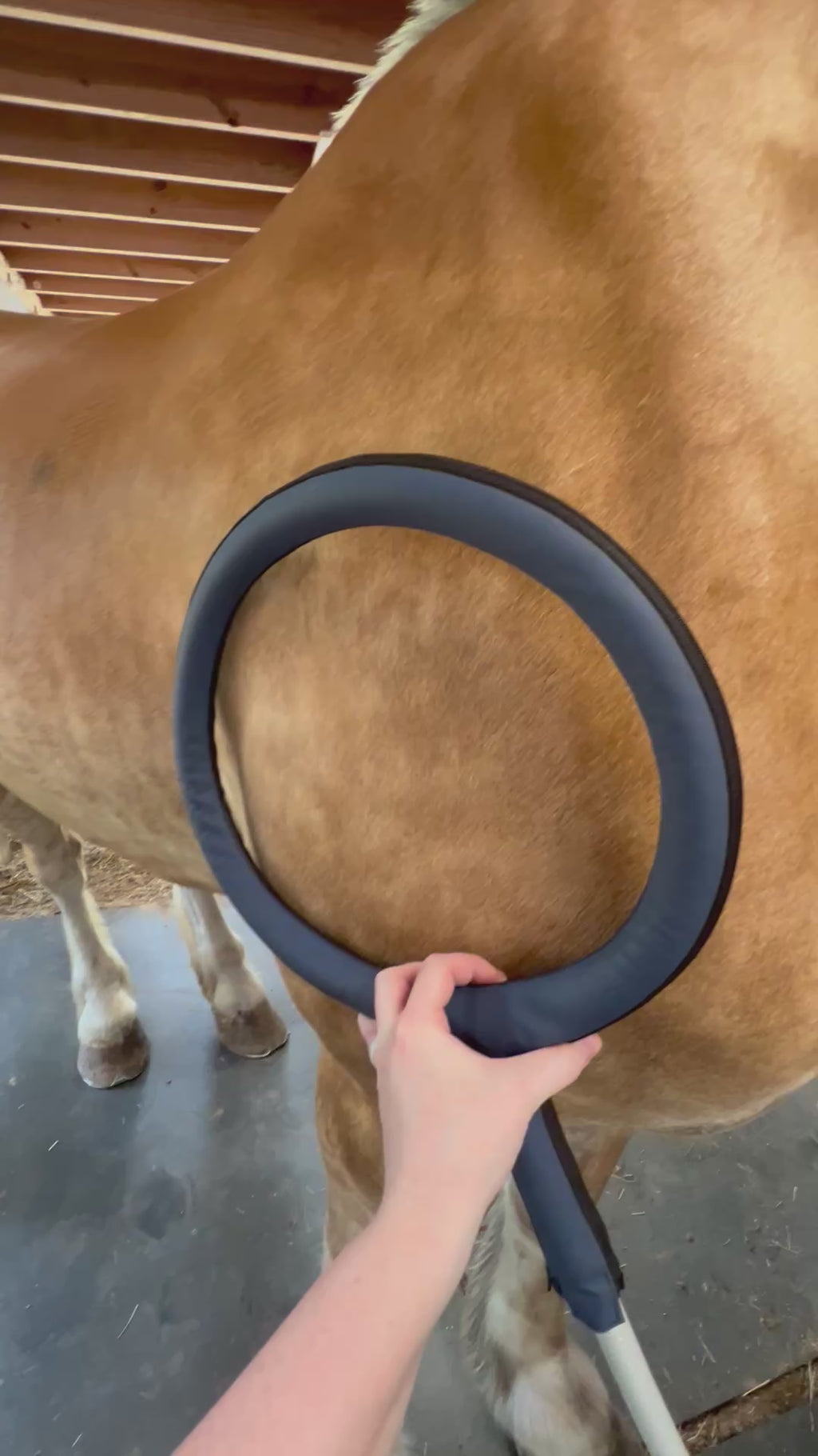 Large Loop