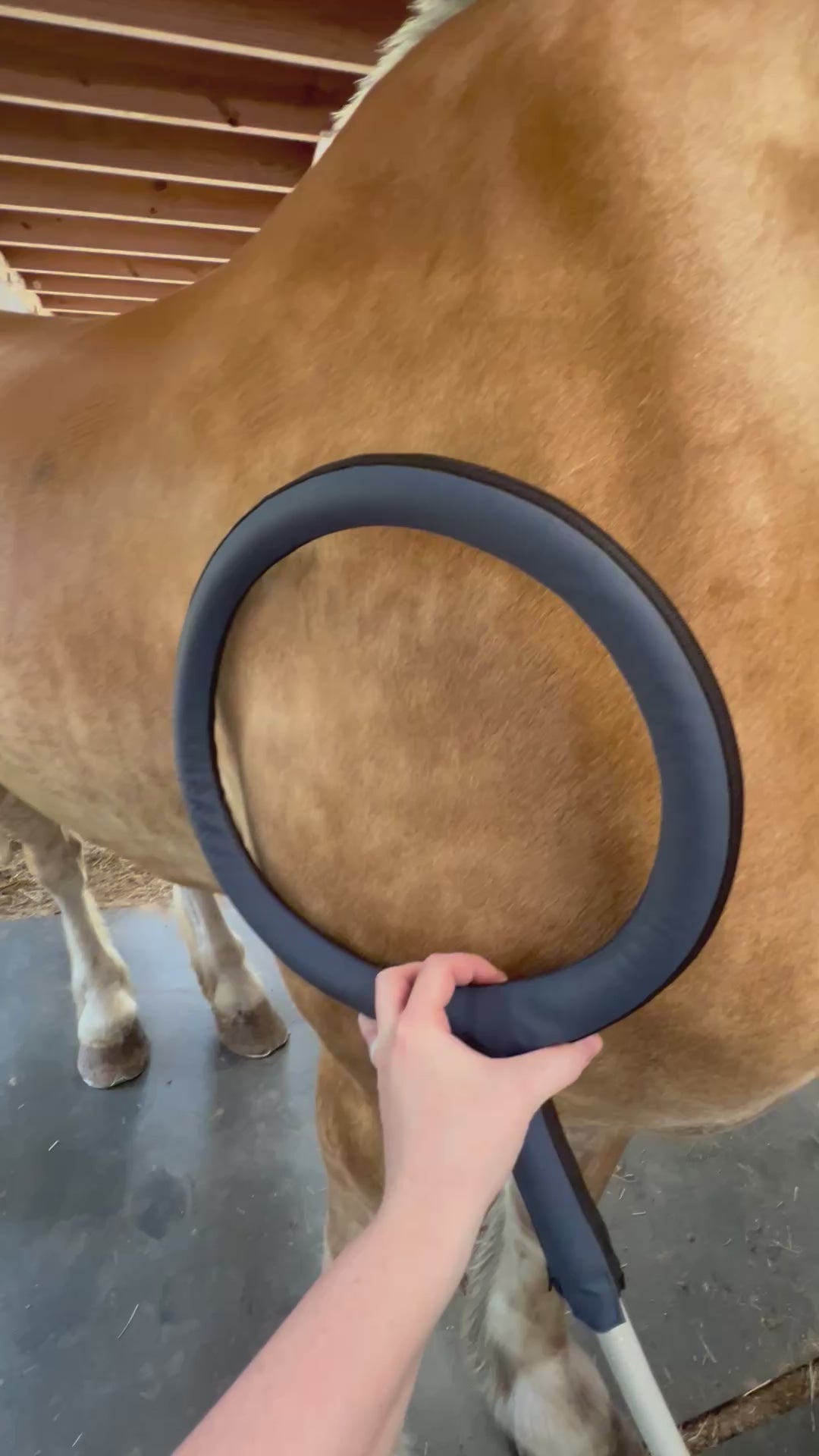 Large Loop